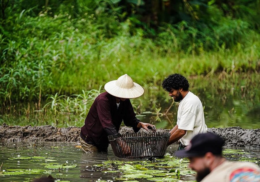 Ninh Binh: Rice planting and fishing by basket tour - Feeding Buffalo and Riding Through the Working Farm Rhythm