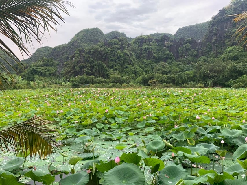 Ninh Binh Sunset Jeep Tour & Hoa Lu Walking Town At Night - Hoa Lu Walking Town at night by Ky Lan Lake Park