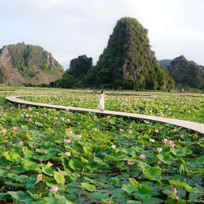 Ninh Binh Sunset Motorbike: Mua Cave, Coi Khe & Hoa Lu Town - Pickup timing: why the 16:00 start matters