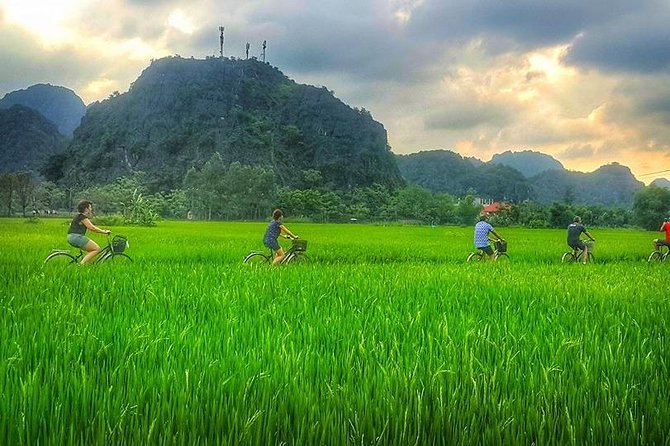 Ninh Binh Tour: Deluxe & Small Group Tam Coc Hoa Lu - Boat, Biking, Buffet Lunch - Hoa Lu temples (Dinh and Le): the quick history stop that sets the tone