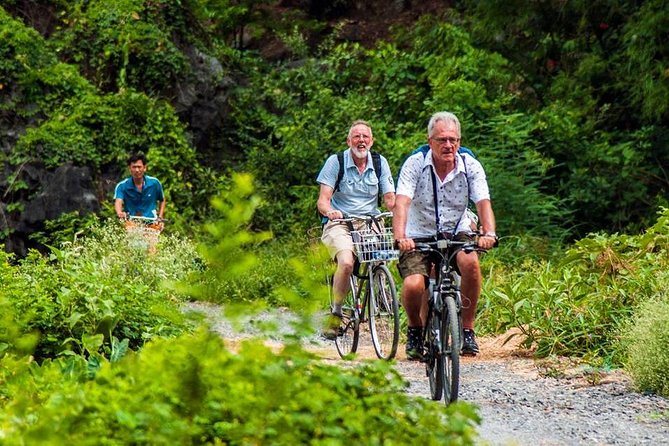 Ninh Binh Tour Hoa Lu Tam Coc Full Day: Biking,Boating,Tickets,Lunch, Limousine - Biking Around Villages, Rice Fields, and Rocky Outcrops