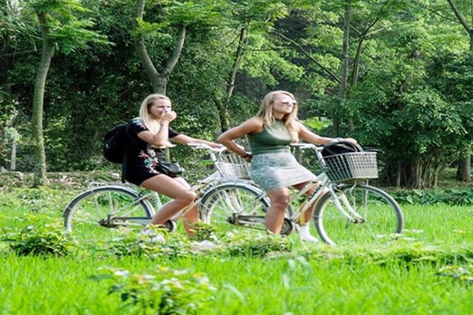 Ninh Binh Tour Hoa Lu Tam Coc Full Day: Biking,Boating,Tickets,Lunch, Limousine - Price and Value: Is $41 a Good Deal?