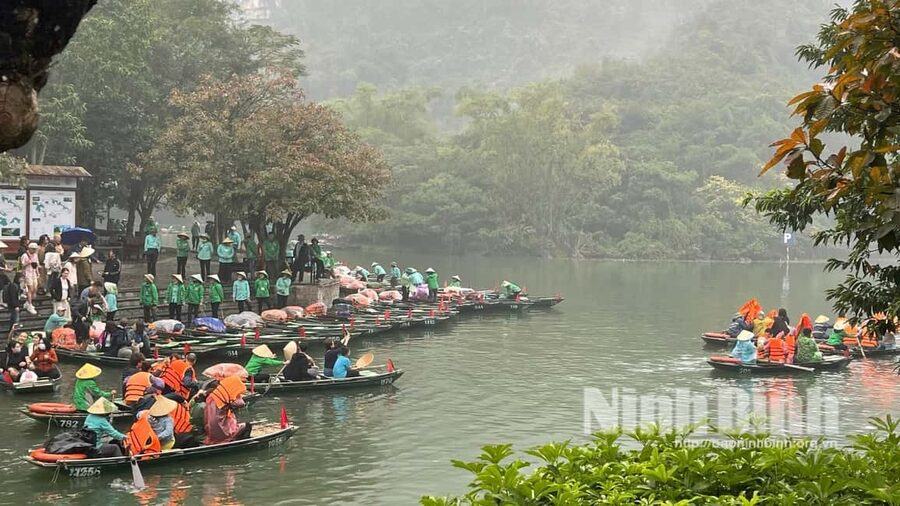 Ninh Binh: Trang An Boat Ride, Hoa Lu & Mua Cave Sunset - Should You Book This Ninh Binh Tour?