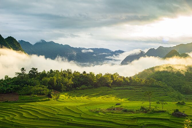 Noi Bai Airport transfer to Hotel or Vice versa - Pricing: What $15 Means for Your Group