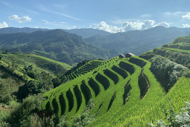 Number one top rated ethical cultural trekking and homestay by ETHOS - Day 2: Morning Flexibility and a Taxi Back to Sapa