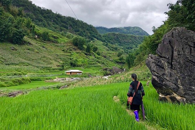 Number one top rated ethical cultural trekking and homestay by ETHOS - Price and Value: What $93.34 Gets You in the Real World