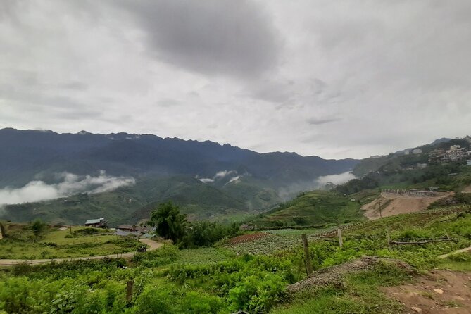 One day Trekking in Sapa and Muong Hoa Valley with local guide - Y Linh Ho to Lao Chai: Rice Fields, Village Paths, and Lunch with Choices
