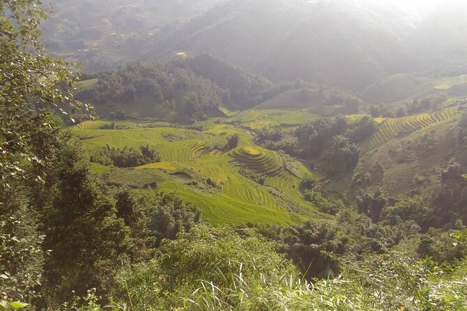 One day Trekking in Sapa and Muong Hoa Valley with local guide - Why the Guide Quality Changes Everything (Anh and Local Ethnic Insight)