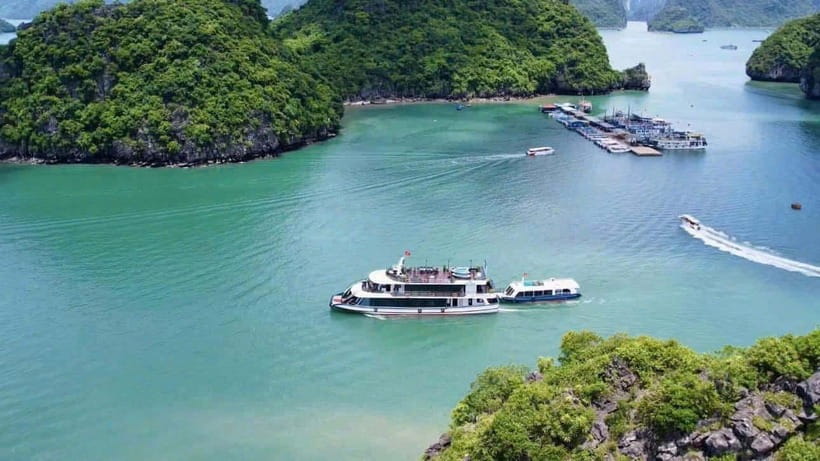 Pamela Cruise: HaLong Bay day trip with Lunch & Activities - Lunch and the Sunset Sequence: Tea Ceremony, Dessert, and Onboard Meal
