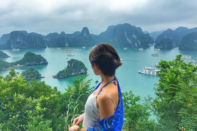 Premium Halong Bay Cruise – All Inclusive from Hanoi or Halong - Key Highlights Worth Planning For