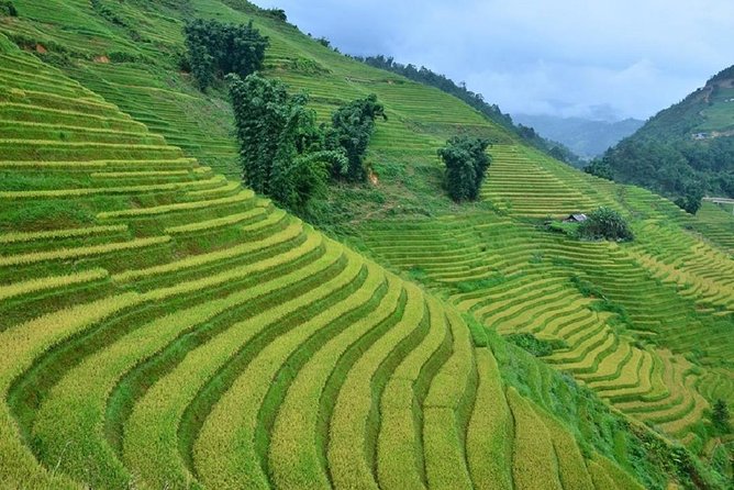 Private Car and Tour Guide Exploring Northern Vietnam - Ba Be Lake and the Northeast Eco-Route