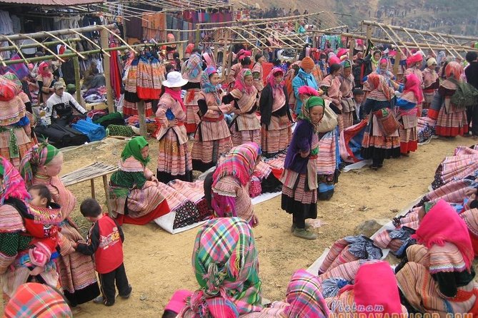 Private Car and Tour Guide Exploring Northern Vietnam - Timing and Pacing: The One Thing to Confirm Before You Pay