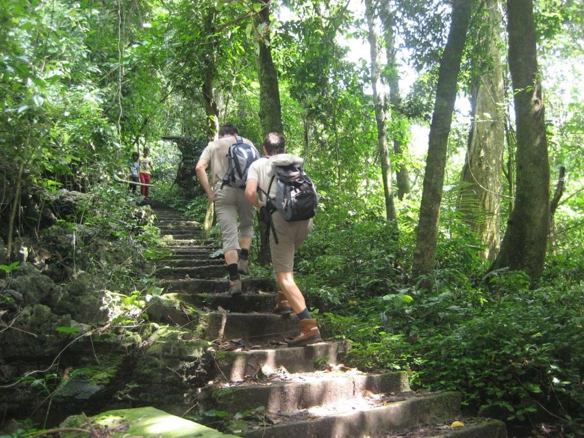 Private Day Tour: Cuc Phuong National Park from Hanoi - The jungle hike: practical tips for comfort and better wildlife spotting