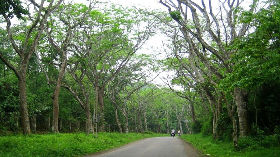 Private Day Tour: Cuc Phuong National Park from Hanoi - Lunch at the right time: included, local, and not an afterthought