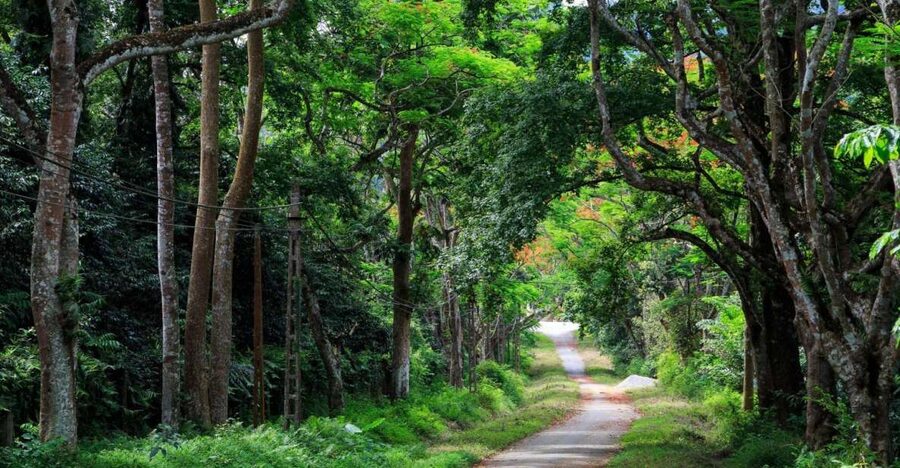 Private Day Tour: Cuc Phuong National Park from Hanoi - Price and value: what your $130 private day tour really includes