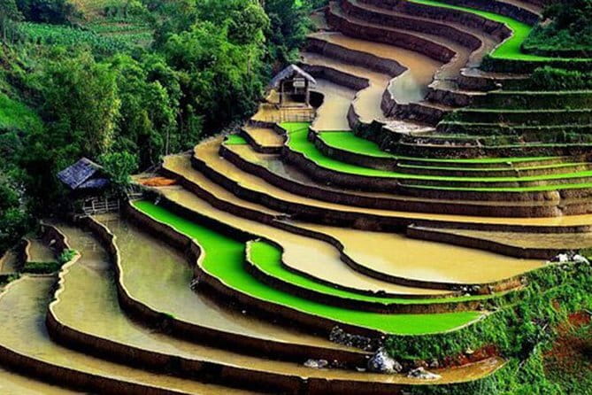 Private Full-Day Tour to Halong Bay from Hanoi - Luon Cave kayaking or bamboo boat in a tunnel-like world
