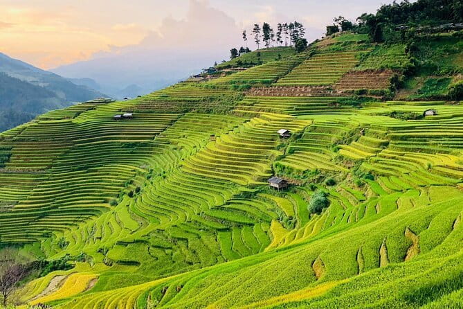 Private Half-Day Tour of Villages, Terrace Rice Fields by Car - Cat Cat Village: steps, local sellers, and the classic Sapa feel