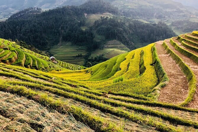 Private Half-Day Tour of Villages, Terrace Rice Fields by Car - Lao Chai: another terrace village stop without extra tickets