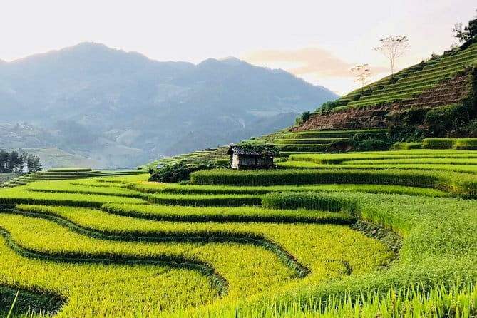 Private Half-Day Tour of Villages, Terrace Rice Fields by Car - Price and value: what $45 includes, and what you should budget for