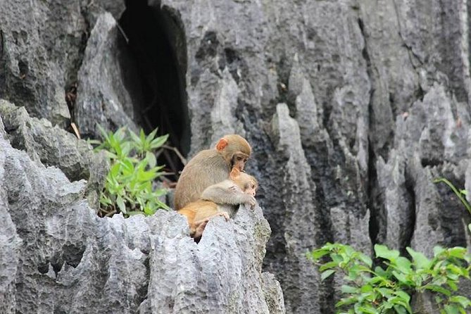 Private Halong Bay In Day - First stop: getting from Hanoi to Tuan Chau without the hassle