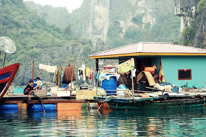 Private Halong Bay In Day - Price and value: why $273 can make sense for a private day