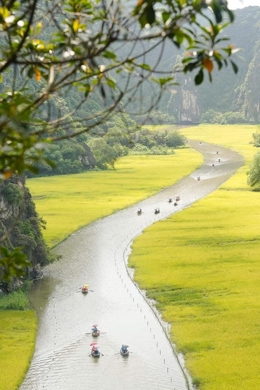 Private Luxury 1 Day Trip: Hoa Lu, Tam Coc, Mua Cave, Biking - Key things that make this Ninh Bình tour work