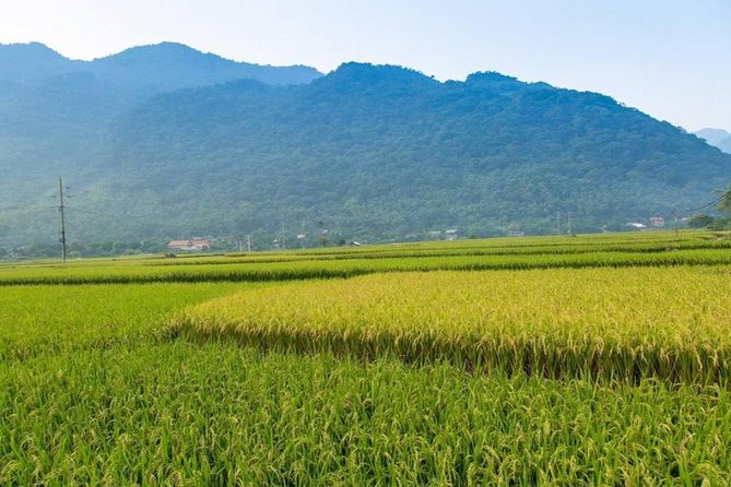 Private Tour: Day Tour of Mai Chau from Hanoi - The 140 km drive through Hoa Binh: comfort, timing, and expectations