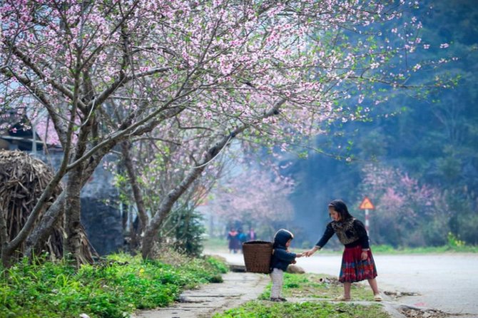 Private Tour: Ha Giang 3 days 4 nights - From Hanoi to Ha Giang City: The Sleeping Bus Start That Matters