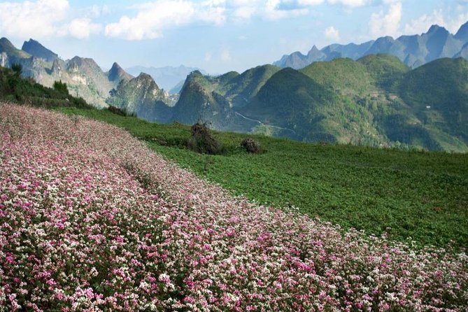 Private Tour: Ha Giang 3 days 4 nights - Ma Pi Leng Pass and Nho Que River: Boat Trip or Sky Path Trek