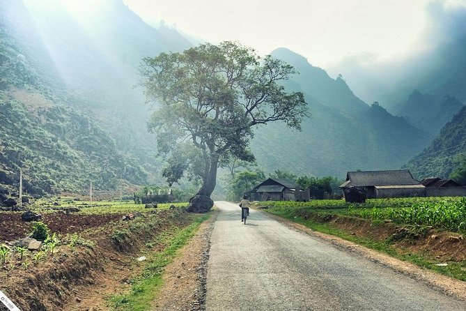 Private Transfer Between Lao Cai Train Station and Sapa Town - The 40 to 50 minute ride: comfort and a route that saves time