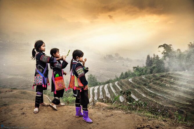 Private Transfer One Way From HANOI > SAPA - Key Things I’d Focus On Before You Book