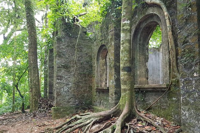 Private Transfers Full Day Hanoi - Ba Vi National Park - Hanoi - Who this fits best (and when you should add a guide)