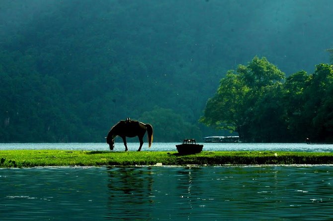 Private transfers HALONG <=> SAPA One Way (Free Hotel Pickup) - The 6.5–7 Hour Ride: Comfortable, Direct, and Actually Manageable