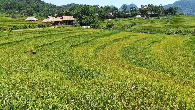 Private transfers Hanoi <=> Puluong 1 Way (Free Hotel Pickup) - What you’re really paying for: value of the $89 group price