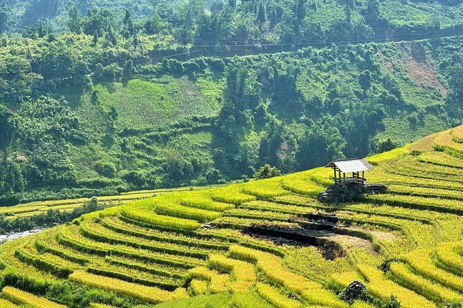 Private Trekking through Terraces Rice Fields in Sapa - The lunch setup: included, traditional, and flexible