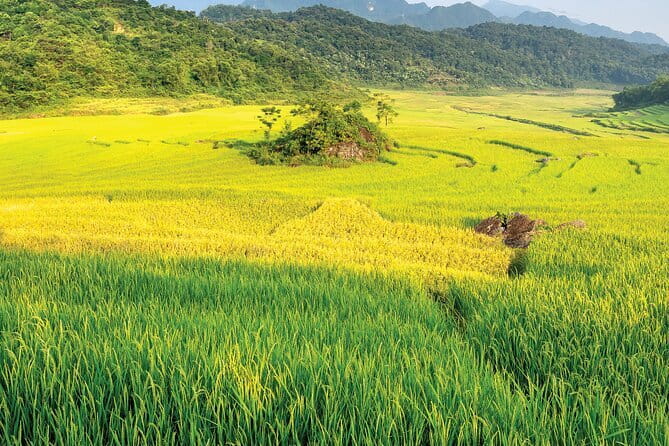 Pu Luong 3-Day Adventure: Trekking, Cycling & Local Cooking Class - Key highlights that make this 3-day Pu Luong trip work