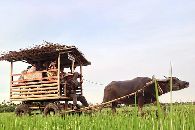 Pu Luong 3-Day Adventure: Trekking, Cycling & Local Cooking Class - First Morning in Hanoi: 6:30 Pickup and the Long Drive to Pu Luong