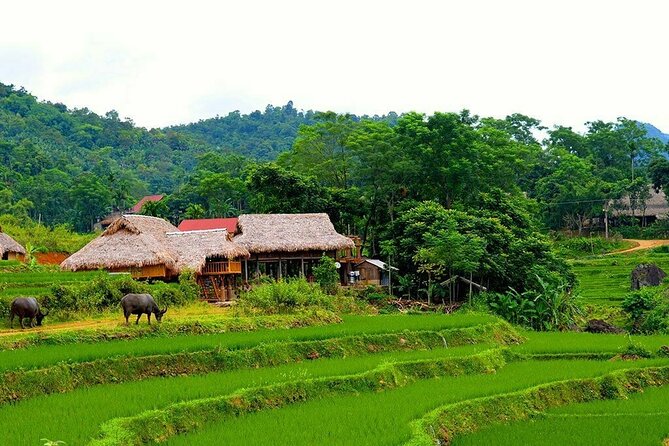 Pu Luong Nature Reserve 2 Days 1 Night Tour from Hanoi - How the ride from Hanoi sets the tone