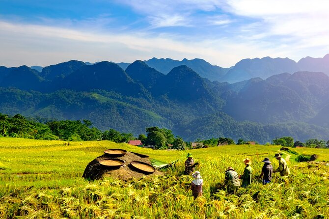 Pu Luong Private Day Tour from Hanoi – Biking & Rafting - Bamboo rafting at Chieu Lau dam: calm paddling, real contact