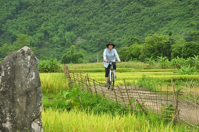 Pu Luong Private Day Tour from Hanoi – Biking & Rafting - Rice terraces and the S-road photo stop (Bản Đôn)