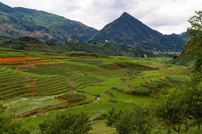 Red Dao village trek and Herbal bath - Price and What You Really Get for $39