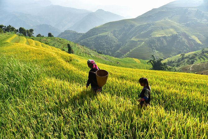 Remarkable Vietnam 14 Days - Hanoi, Sapa, Halong Bay, Ho Chi Minh - Ninh Binh: Hoa Lu temples and Tam Coc like a daydream