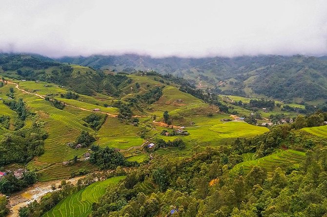 Rice Terraced Fields & Homestay Experience– 2D 1N - Rice terraces, villages, and waterfalls in two days from Sapa Town
