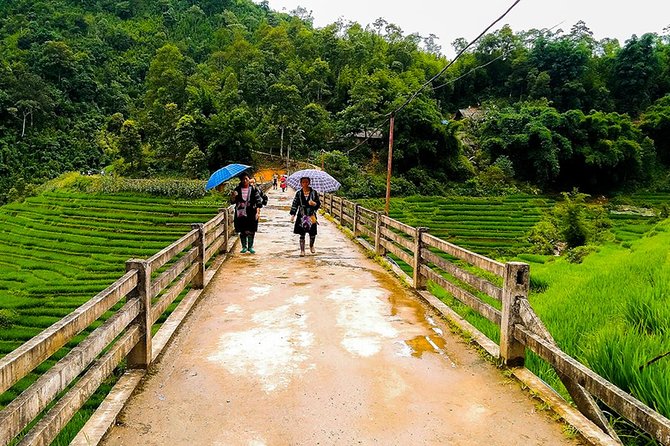 Rice Terraced Fields & Homestay Experience– 2D 1N - Day 2: Giang Ta Chai Village to the waterfalls, coffee first and uphill second