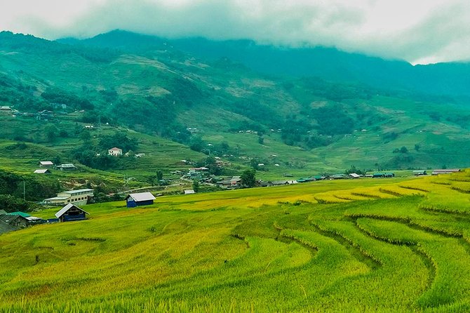 Rice Terraced Fields & Homestay Experience– 2D 1N - Guides shape the experience: when Sang, Su, Mi, Tung, Ly, and Soso are in the lead