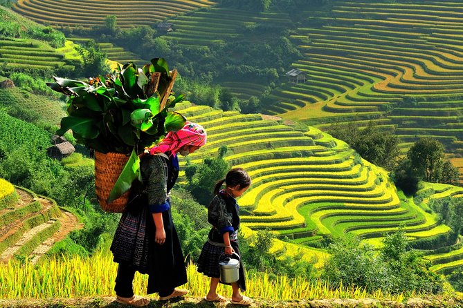 Sa Pa 2-Day Moderate Trek and Homestay Limousine Tour from Hanoi - Price and what you get for $118