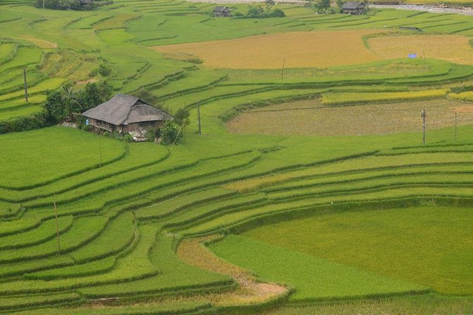 Sa Pa 2-Day Moderate Trek and Homestay Limousine Tour from Hanoi - Village moments and shopping: enjoy the culture, stay smart