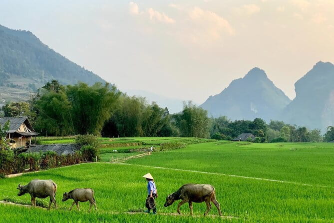 Sa Pa Trekking 2 Days 3 Nights Homestay by Night Train - Vega Travel office and the early-morning reset you’ll thank yourself for