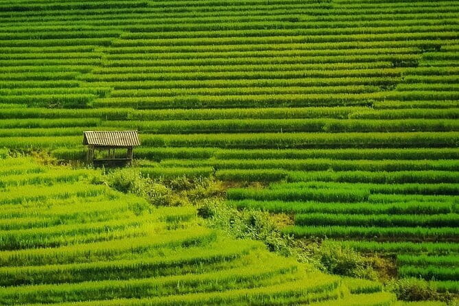 Sa Pa Trekking 2 Days 3 Nights Homestay by Night Train - Day 2: Giang Ta Chai village trek through hamlets and minority life