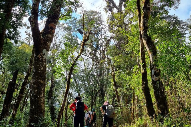 Sapa 1 day trek with local guide to the village by Comlam - One-day Sapa trek: Muong Hoa valley to Ta Van and Lao Chai